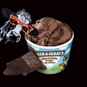 0281 ben & jerrys chocolate fudge brownie