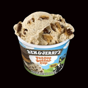 0282 ben & jerrys peanut butter